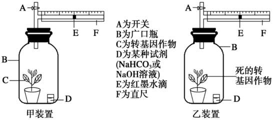 探究環(huán)境因素對光合作用強度的影響實驗設(shè)計,巧用一個裝置完成光合作用和呼吸作用相關(guān)實驗