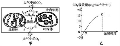 小麥植株進(jìn)行光合作用和呼吸作用的最適溫度分別為25℃和30℃。下圖甲為小麥葉肉細(xì)胞中的部分代謝示意圖;圖乙是在CO2濃度一定、環(huán)境溫度為25℃、不同光照強度條件