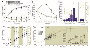 楊培東的偉大成就 研發人工光合作用,讓二氧化碳變成汽油 藥品