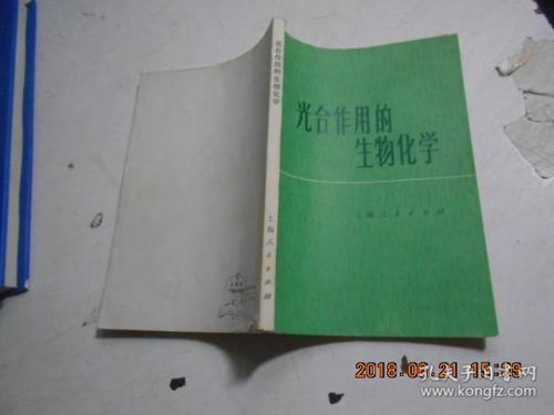 光合作用的生物化學(xué)機(jī)制