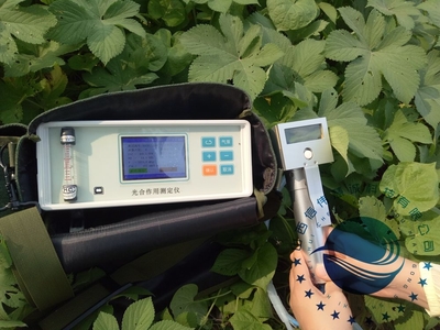 探秘光合作用的精密窗口——解析光合作用測(cè)定儀的工作原理與應(yīng)用